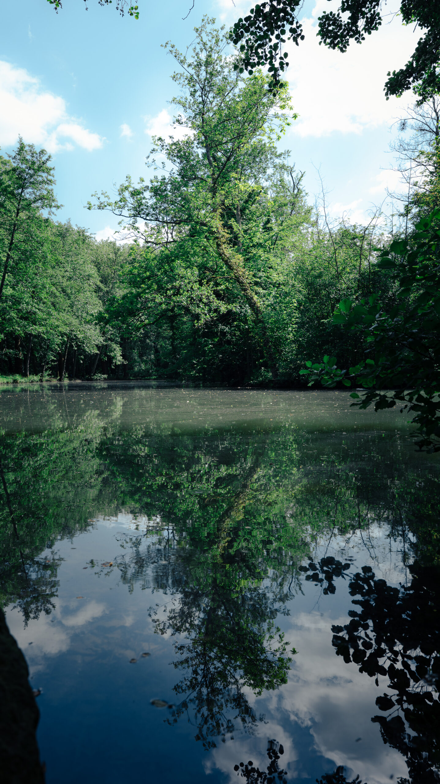 Photo du grand étang de Moncel